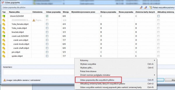 ustaw poprawke dla wszystkich plików